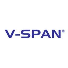 V-SPAN
